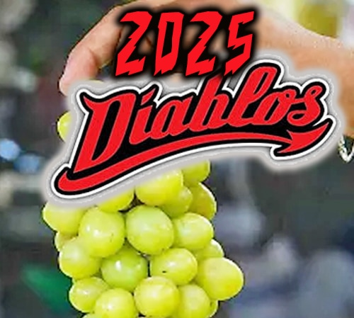 DESEOS DE AÑO NUEVO DE AFICIONADOS DIABLOS