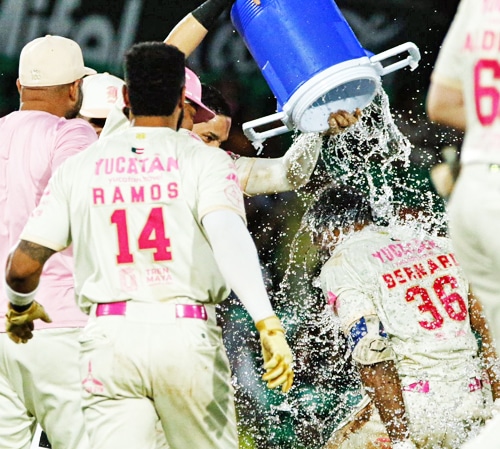 LEONES DEJAN A TIGRES TENDIDOS EN EL TERRENO