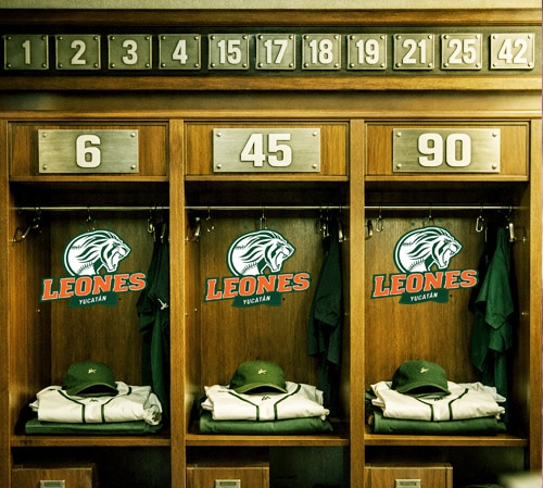 EL MURO MELENUDO CRECE… ¿DEMASIADO RÁPIDO?