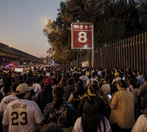 “CARTERAS Y CELULARES” YA SE LA SABEN EN LA PUERTA 8