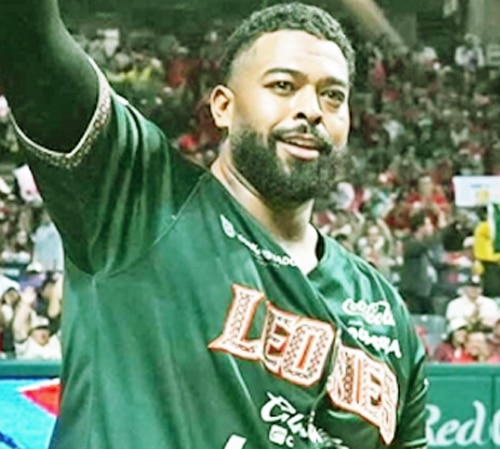 CÓMO EXTRAÑAN LOS LEONES A ART CHARLES