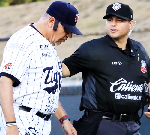 LOS TIGRES SE DERRUMBAN EN EL PEOR MOMENTO