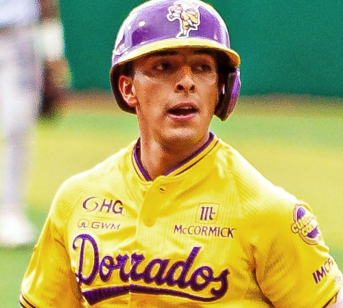PROFETA EN SU TIERRA: EL CICLO CON 1ER. HR EN LMB