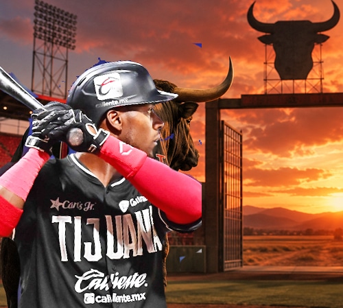 EN LA TIERRA DE LOS TOROS… ADIÓS A LOS TOROS