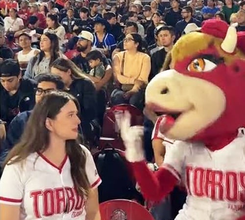 ¡LOS TOROS Y SU AFICIÓN NO SON DANRY VÁSQUEZ!